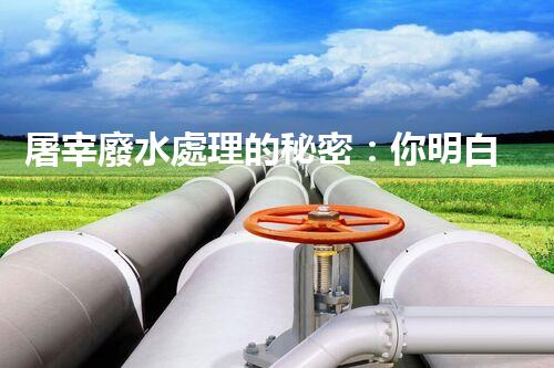 屠宰廢水處理的秘密：你明白那些污水如何變清？